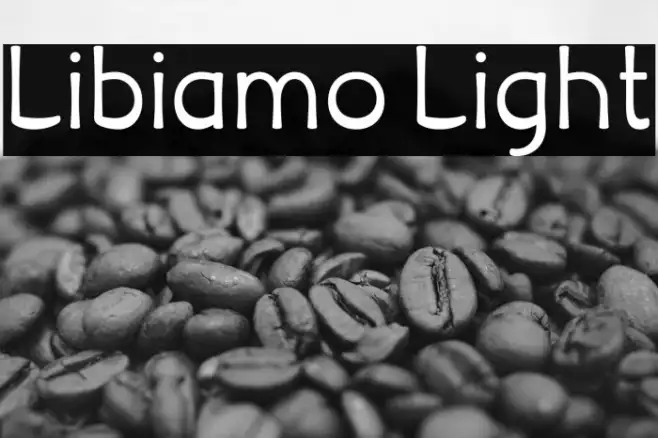 Libiamo Light Example 2