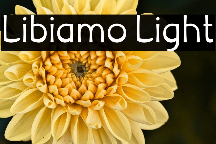 Libiamo Light Example 3