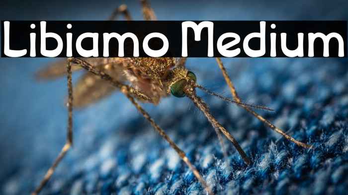 Libiamo Medium Example 2