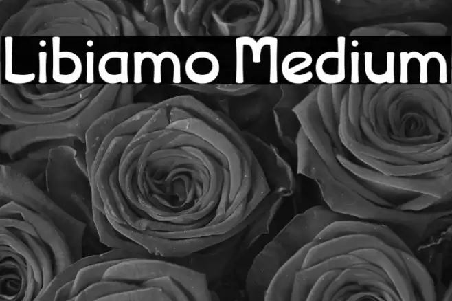Libiamo Medium Font examples