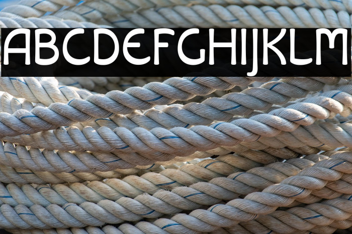 Libiamo Regular Example 1