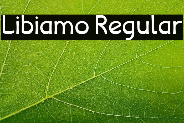 Libiamo Regular Example 1