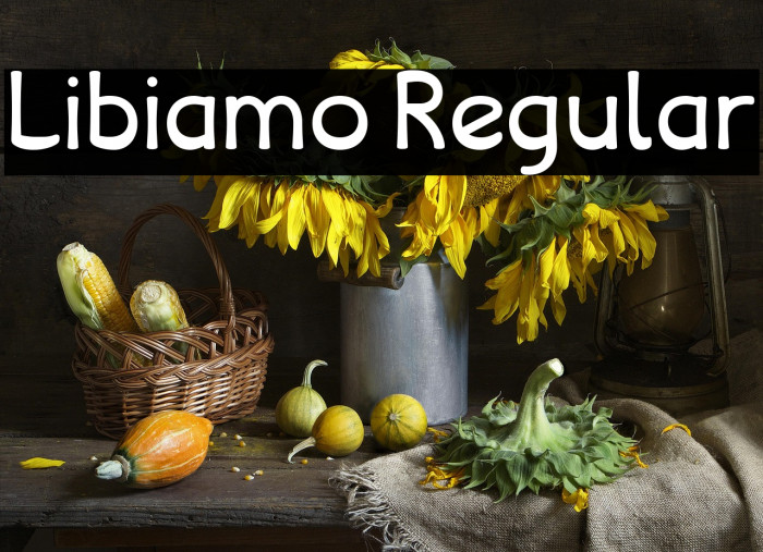 Libiamo Regular Example 2