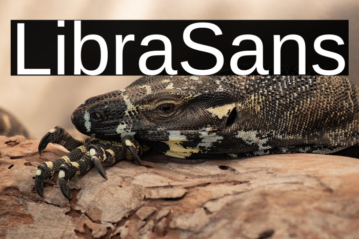 LibraSans Example 1