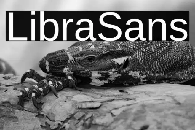 LibraSans Font examples