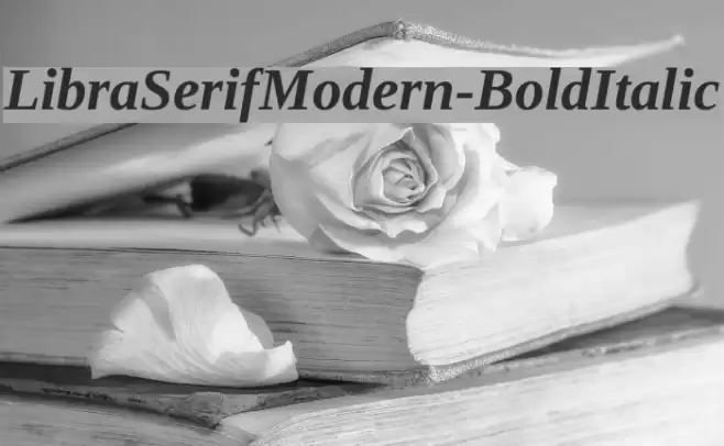 LibraSerifModern-BoldItalic Font examples