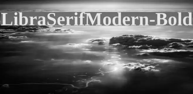 LibraSerifModern-Bold Font examples