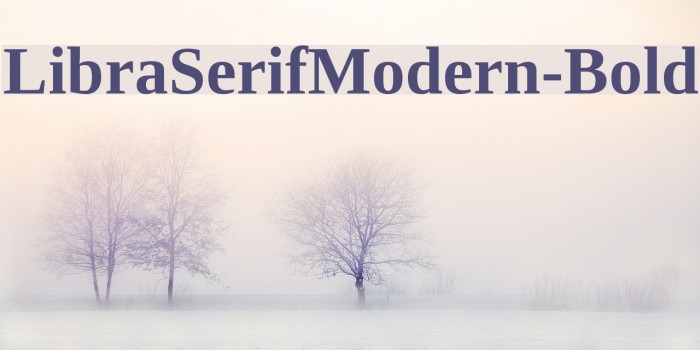 LibraSerifModern-Bold Font examples