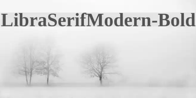 LibraSerifModern-Bold Font examples