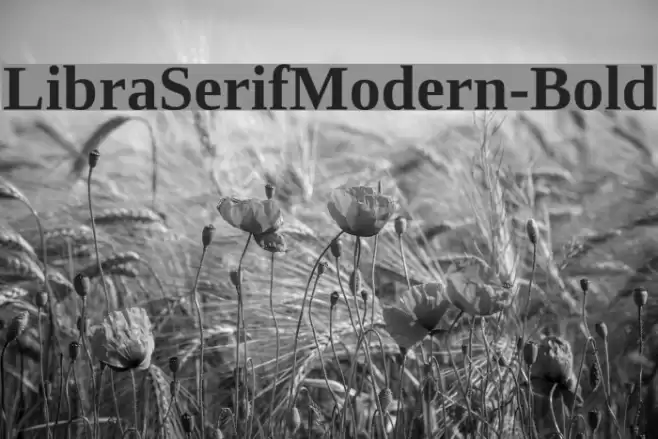 LibraSerifModern-Bold Font examples