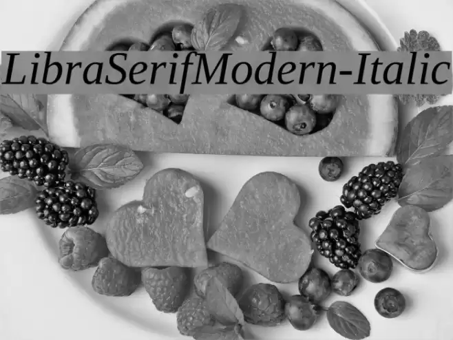 LibraSerifModern-Italic Font examples
