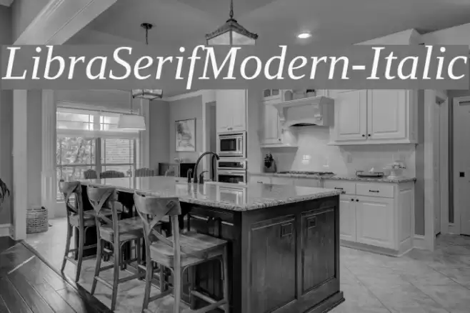 LibraSerifModern-Italic Font examples