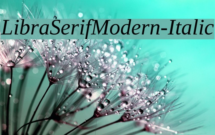 LibraSerifModern-Italic Font examples