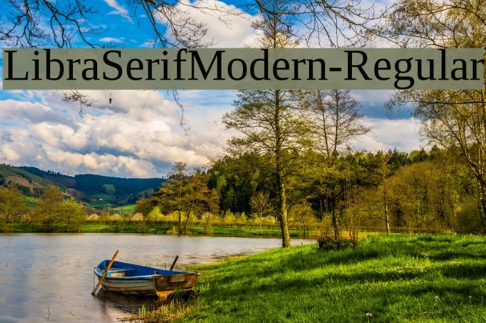 LibraSerifModern-Regular Font examples