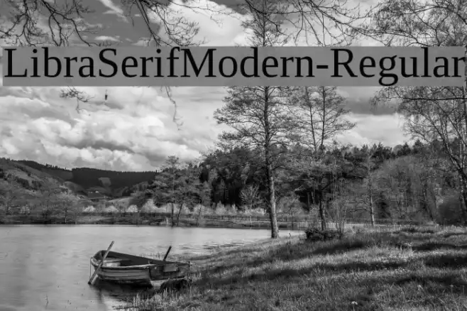 LibraSerifModern-Regular Example 1