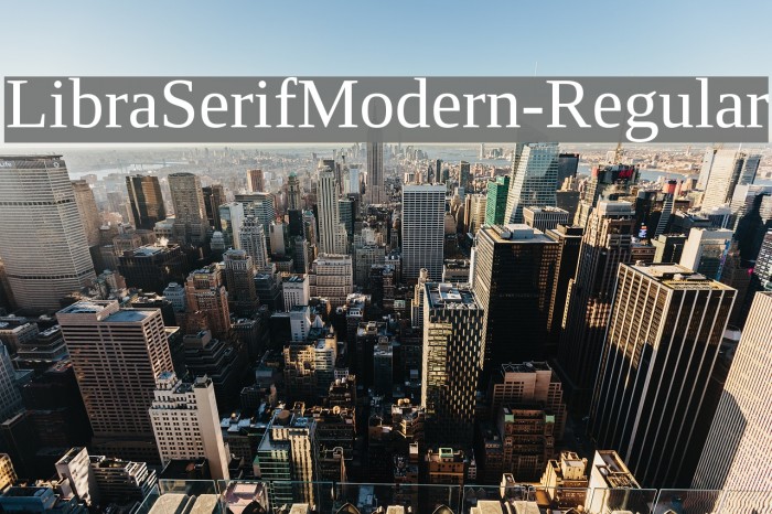 LibraSerifModern-Regular Font examples