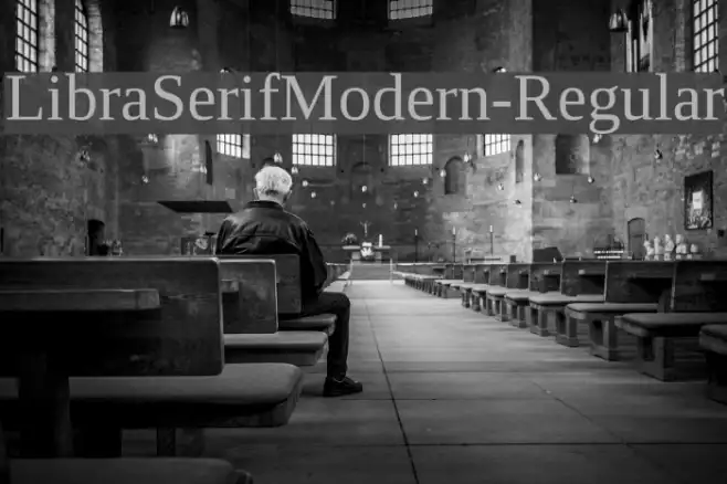 LibraSerifModern-Regular Example 3