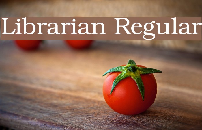 Librarian Regular لخطوط تنزيل examples