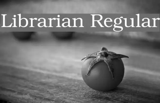 Librarian Regular خط examples
