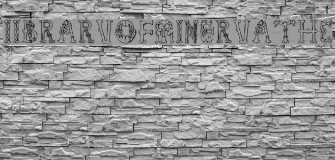 Library-of-Minerva--9th-c- Fuentes examples