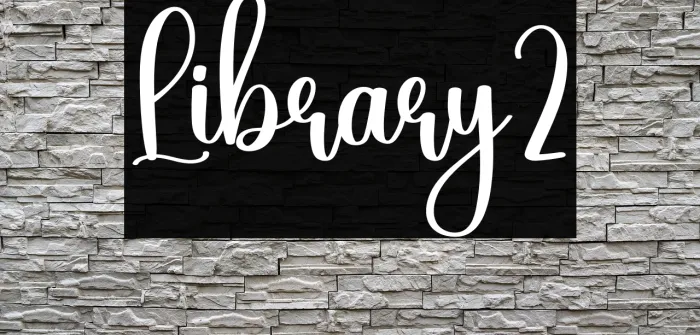 Library2 Example 3