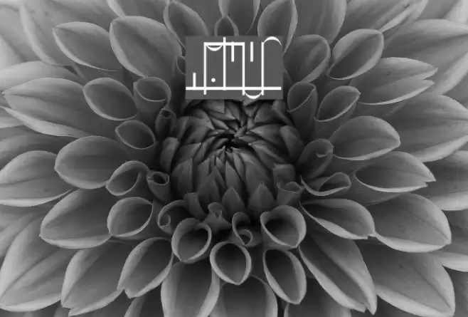 Library Font examples