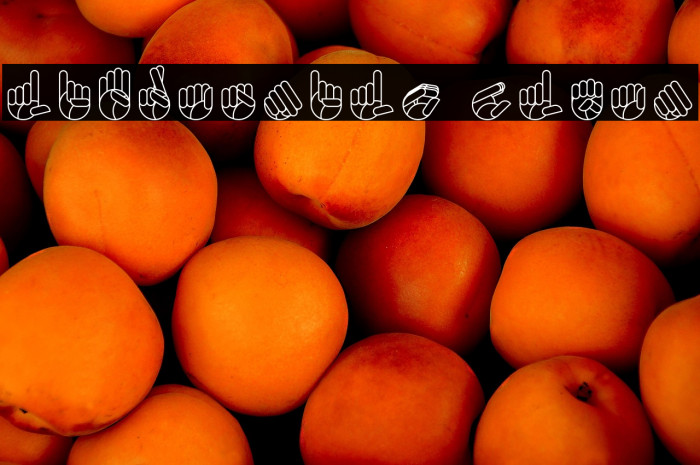 Libras-nilo Clean Example 2