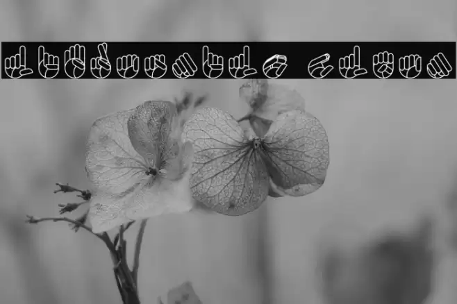 Libras-nilo Clean Font examples