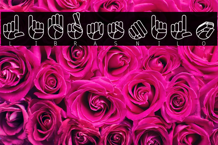 Libras-nilo Example 1