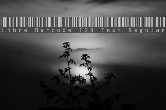 Libre Barcode 128 Text Regular Example 1