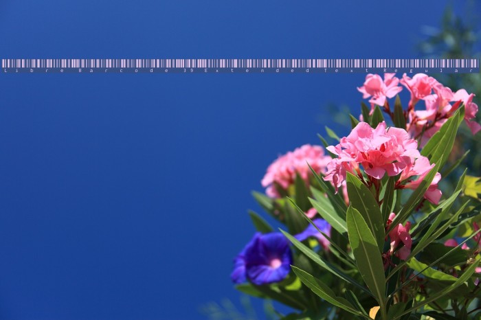 Libre Barcode 39 Extended Text Regular Font examples