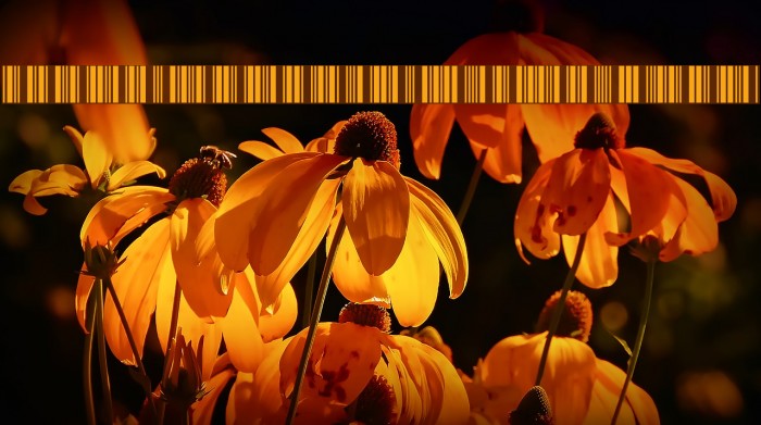Libre Barcode 39 Regular Font examples