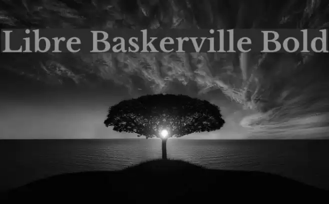 Libre Baskerville Bold Font examples