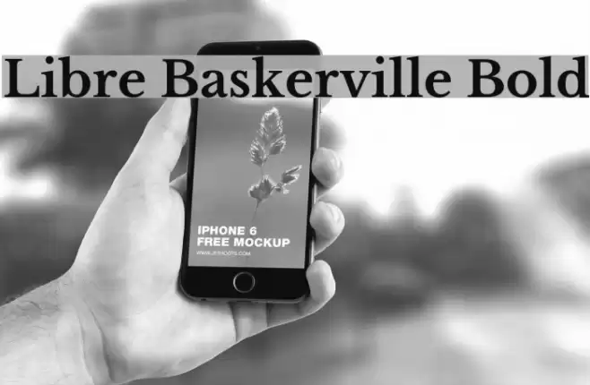 Libre Baskerville Bold Font examples