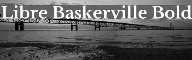 Libre Baskerville Bold Font examples