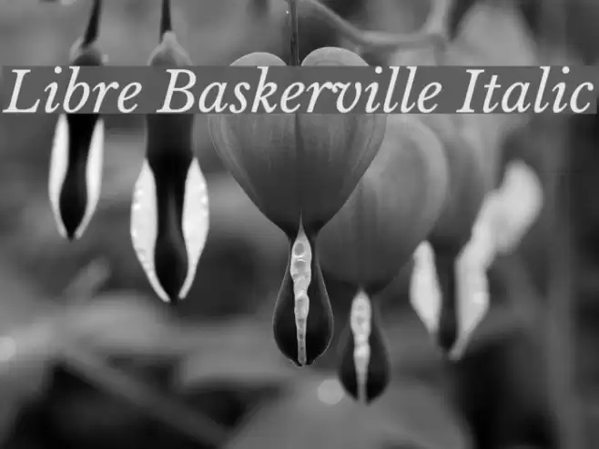 Libre Baskerville Italic Font examples