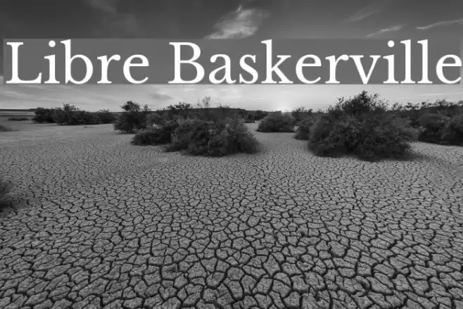Libre Baskerville Font examples