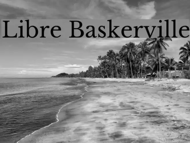 Libre Baskerville Font examples