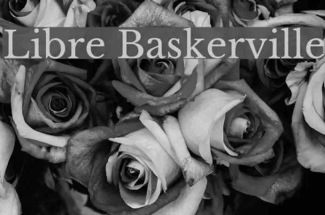 Libre Baskerville Font examples