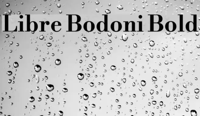 Libre Bodoni Bold Font examples
