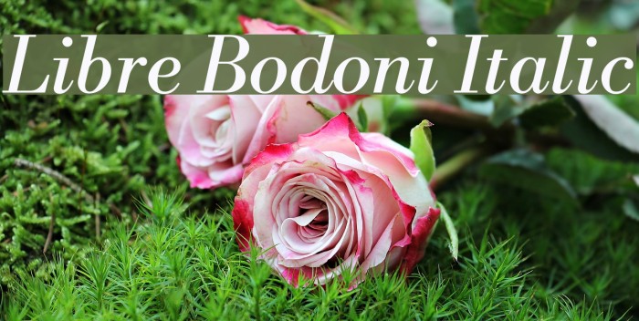 Libre Bodoni Italic Font examples
