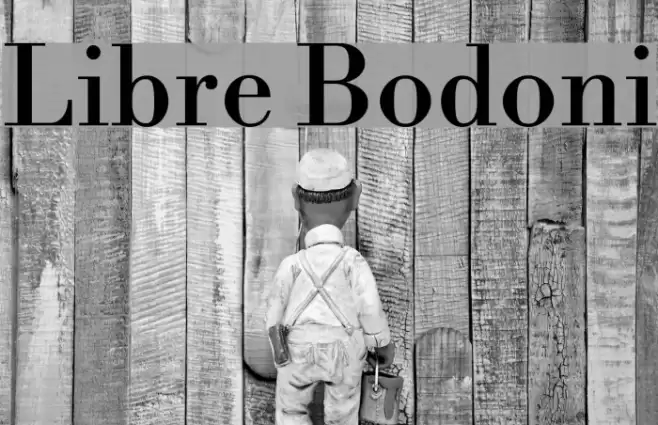 Libre Bodoni Schriftart examples
