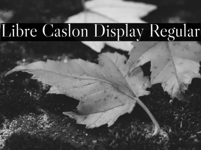 Libre Caslon Display Regular フォント examples