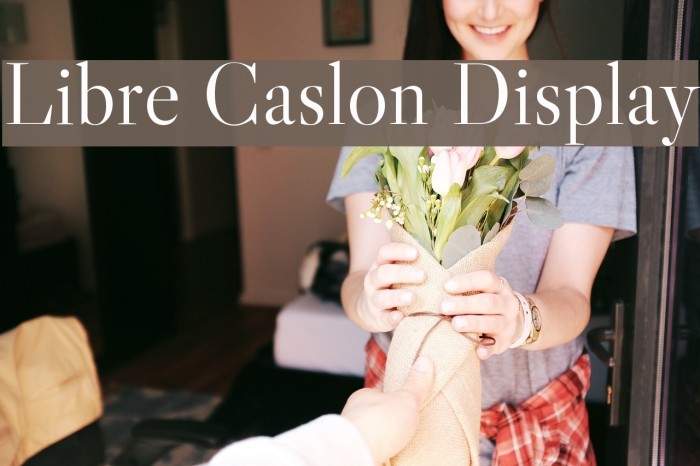 Libre Caslon Display Font examples