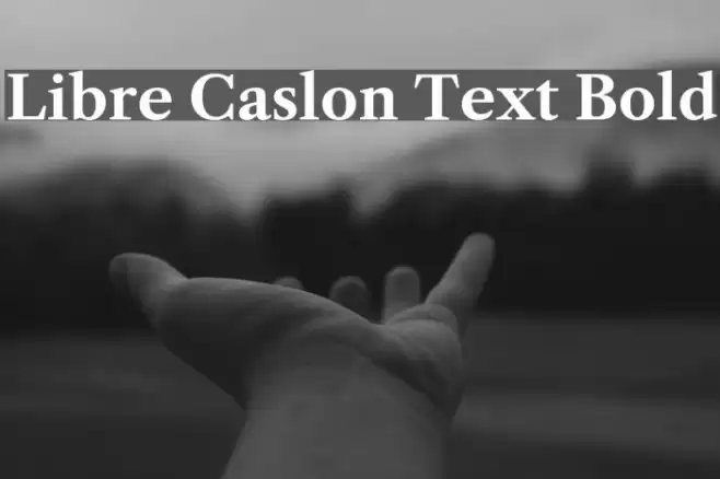 Libre Caslon Text Bold Font examples