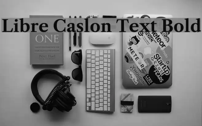 Libre Caslon Text Bold Font examples