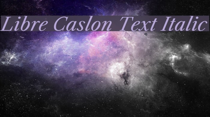 Libre Caslon Text Italic Font examples