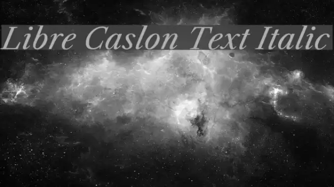Libre Caslon Text Italic Font examples