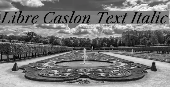 Libre Caslon Text Italic Font examples