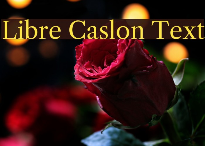 Libre Caslon Text Font examples